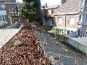 JARDILOOK
