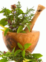 Bien-être par les Plantes - La Louvière